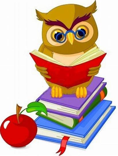 Wise Why Owl Teacher Apples There Teachers