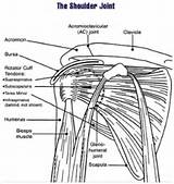 Images of Knee Flexion Degrees