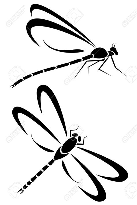 Dragonfly Pencil Drawing At Getdrawings Free Download