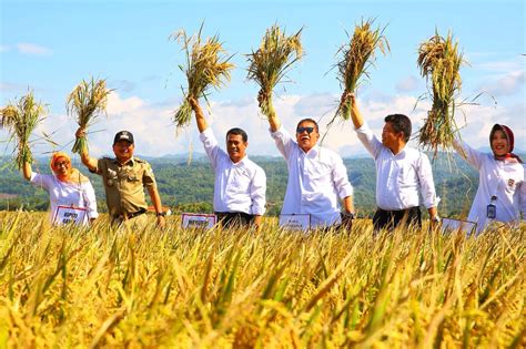 Dapat memajukan ekonomi di malaysia. Kinerja Gemilang Ekspor Pangan | MONITOR