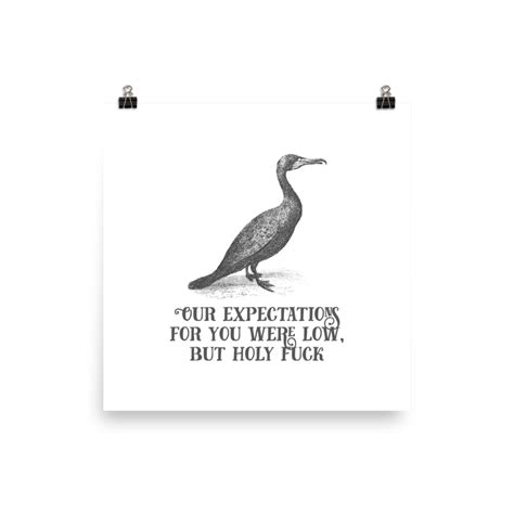 Our Expectations For You Were Low But Holy Fuck Poster Effin Birds