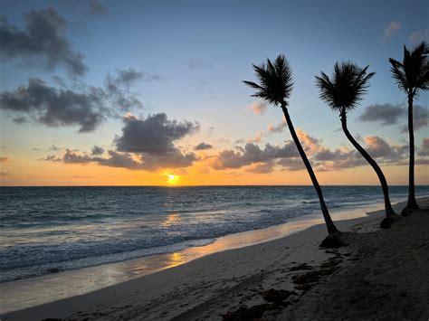 Wallpaper Beach Ocean Palm Trees Tropics Sunset Hd Widescreen