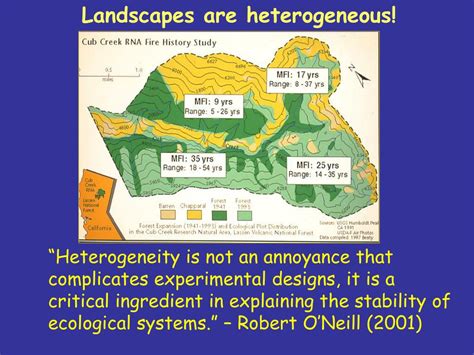 Ppt Spatial Ecology Ii Landscapes Powerpoint Presentation Free