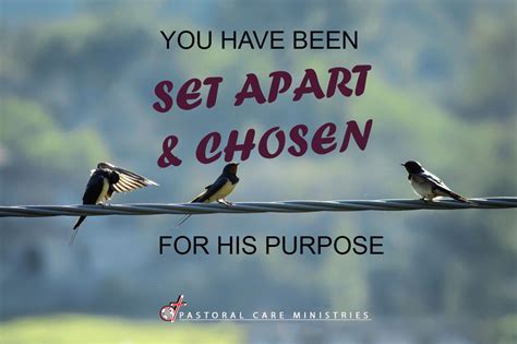 Pastoral Care Ministries [Care Chapel] on Twitter: "Don't be