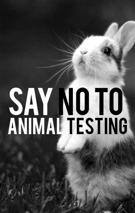 763 best images about NO MORE ANIMAL CRUELTY!!!! on ...