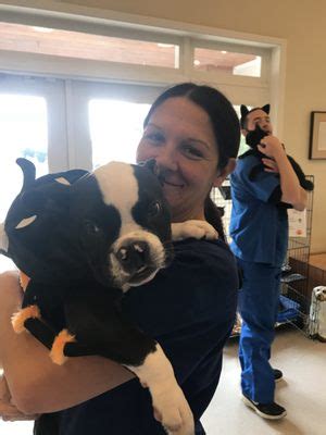 ALL CREATURES ANIMAL HOSPITAL-AMELIA - 127 Photos & 36 Reviews