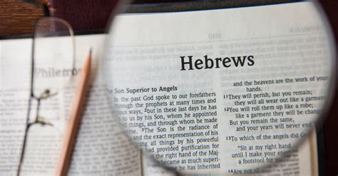 Who Wrote The Book Of Hebrews Bible Study