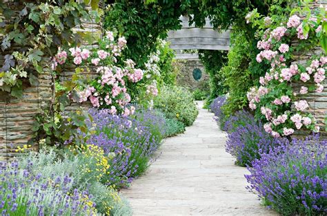 Hestercombe Somerset Garden Lavender Garden English Cottage Garden