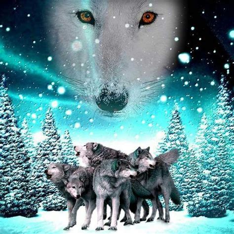 Алисизация — война в подмирье. Wolf Pack (Anime) | Anime Amino