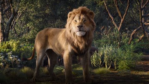 Meet The Lion King Live Action Simba At Disney World