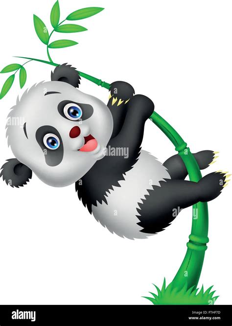 Cute Funny Baby Panda Hanging On The Bamboo Stock Vector Image And Art