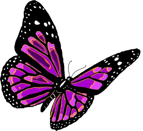 Flying Purple Butterfly Png Transparent Background Free Download 6721
