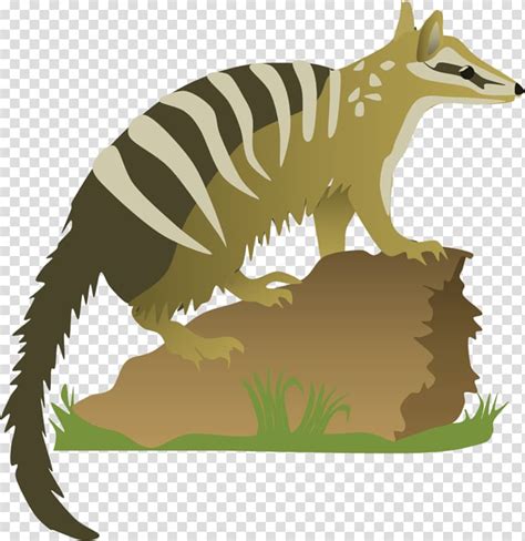 Red Fox Numbat Marsupial Numbat Transparent Background Png Clipart