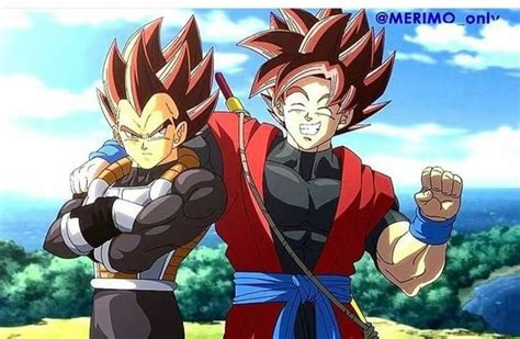 Xeno Goku And Vegeta Anime Dragon Ball Dragon Ball Gt Dragon Ball Goku
