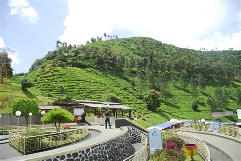 Cari dan beli juga kavling yang dijual lengkap mulai harga murah dan terjangkau untuk rumah atau perumahan anda. Indahnya Tempat Wisata di Puncak Bogor - Yoshiewafa