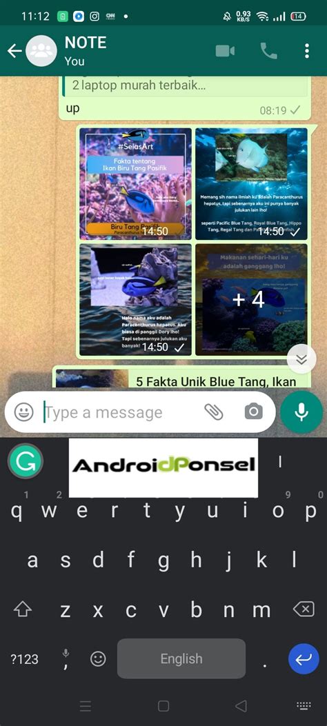 Whatsapp memang merupakan aplikasi chatting yang saat ini cukup diminati ya guys. Cara Membuat Stiker Whatsapp Tanpa atau Dengan Aplikasi