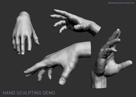 Zbrush Anatomy Sculpting Hands