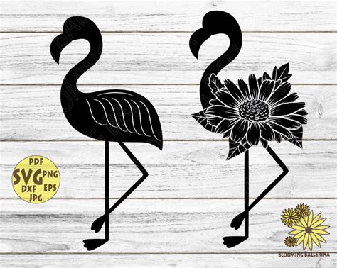 Flamingos Svg Summer Svg Beach Svg Bird Svg Flamingo Etsy Uk My XXX