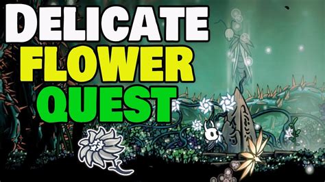 Hollow Knight Flower Quest Route Best Flower Site