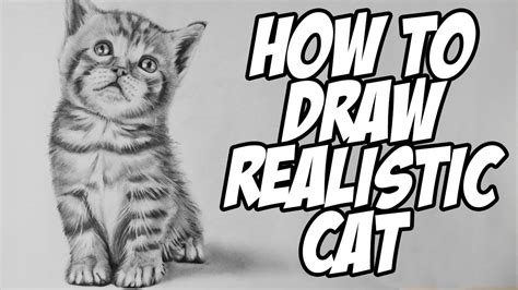 How to draw a cat paw: How to Draw a Realistic Baby Kitten - Drawing Animal Hair ...