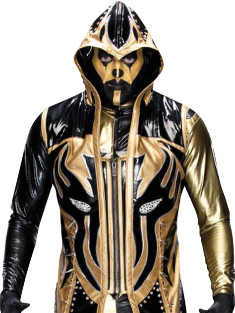 Goldust 2014 PNG 2 by AmbriegnsAsylum16 on DeviantArt