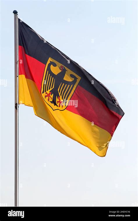 German Flag Eagle