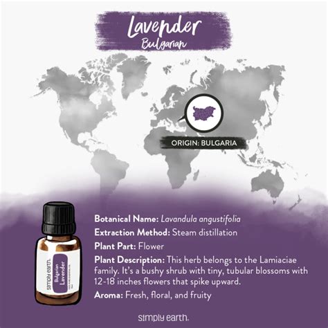 Simply Earth Lavender Essential Oil