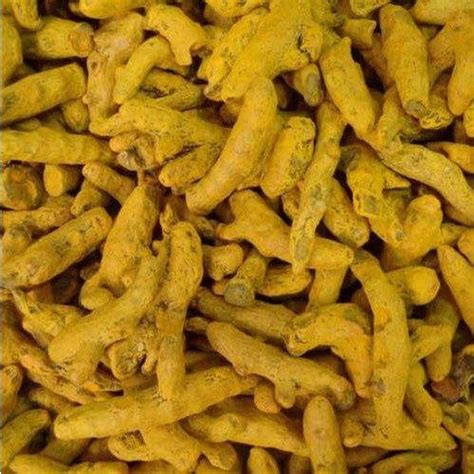 Organic Polished Dry Turmeric Finger Color Yellow At Rs