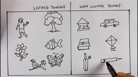 How To Draw Living Things And Nonliving Thingsfor Science Project