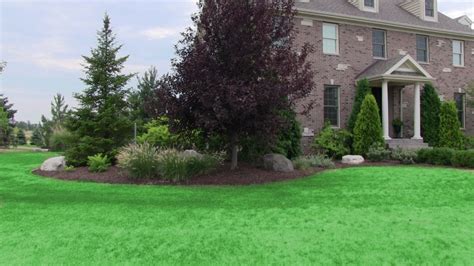 5 Things You Can Do In The Fall For A Greener Lawn