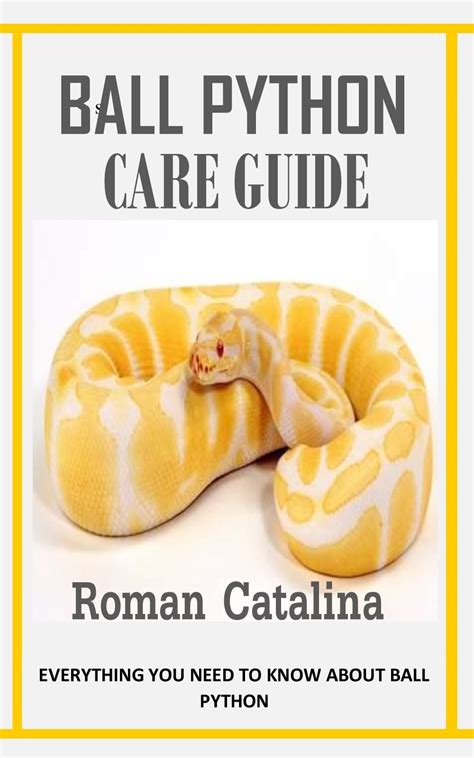 Ball Python Care Guide Everything You Need To Know About Ball Python