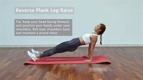 Fitmonkie Reverse Plank And Leg Raise Youtube