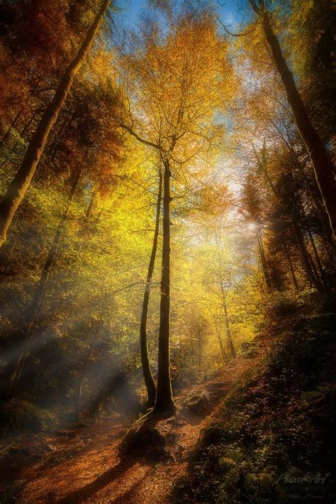 Wowtastic Nature 💙 Rays Of Light Ii On 500px By Stefan Bossow
