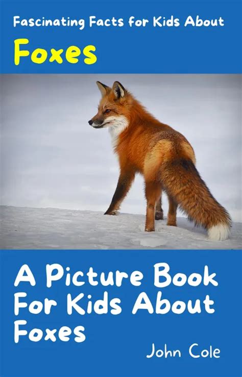 A Picture Book For Kids About Foxes