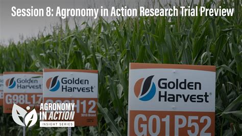 Agronomy In Action Insight Series 2022 Golden Harvest Agronomy