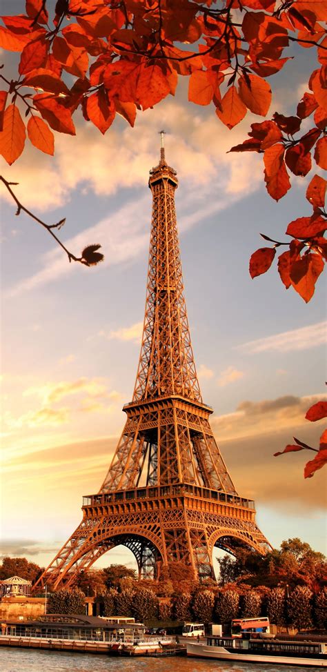 1440x2960 Eiffel Tower Autumn Season 4k 5k Samsung Galaxy Note 98 S9