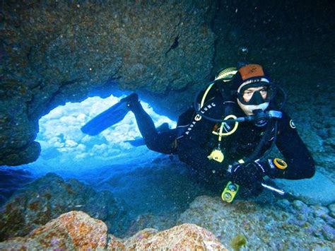 Dive Club Tenerife Arona All You Need To Know Before You Go