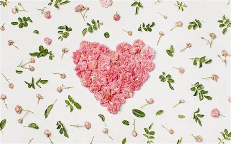 Download Wallpapers Pink Heart Of Roses Rose Petals Heart Of Flowers