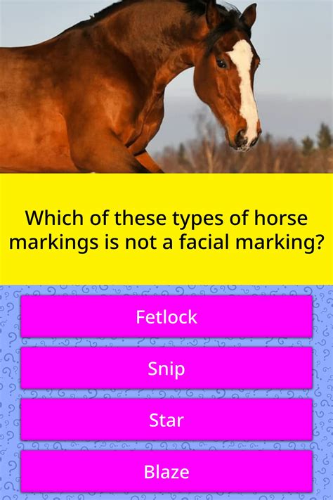 Which Of These Types Of Horse Trivia Questions Quizzclub