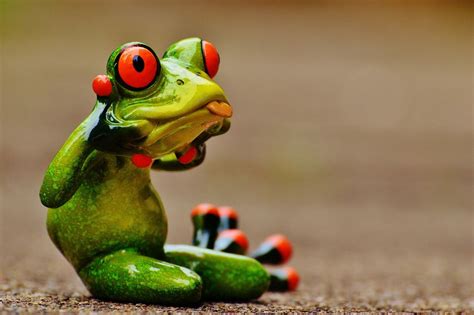 Gratis Obraz Na Pixabay Żaba Postać Zabawa Niegrzeczny Frog