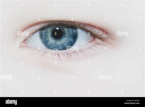 Brooding Eyes Hi Res Stock Photography And Images Alamy