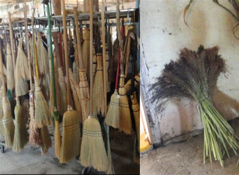Michigan 1001 Daily Photo Handmade Brooms By Henry