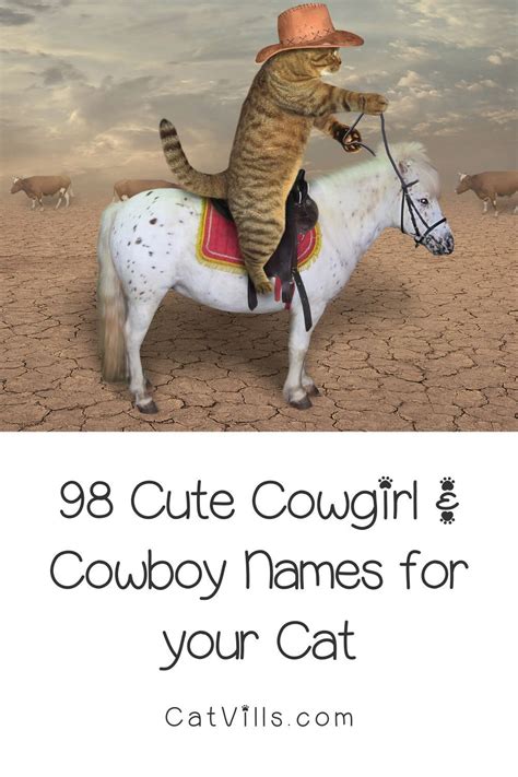 98 Cute Western Cat Names For Cowgirl Cowboy Cats Artofit