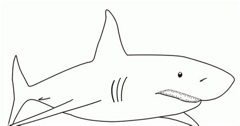 La Chachipedia Dibujos De Tiburones Para Colorear