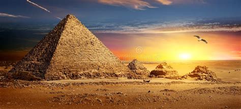 Pyramids At Sunset Stock Photo Image Of Famous Site 101093414