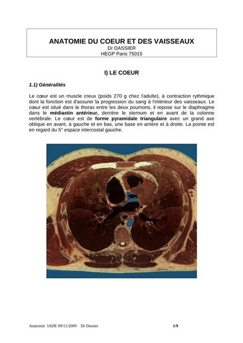 Pdf Anatomie Du Coeur Et Des Vaisseaux Stef Lopresti Free Fr Ere