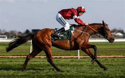 The grand national course remains the ultimate test of horse and jockey. Grand National 2019: What time is the race today, what TV ...