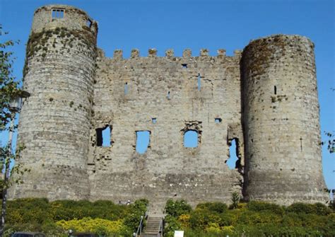 Carlow Castle 1 Carlow Tours Irish Guided Tours