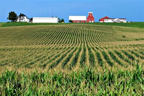 Iowa Farmland Values Hit A Record High Bloomberg