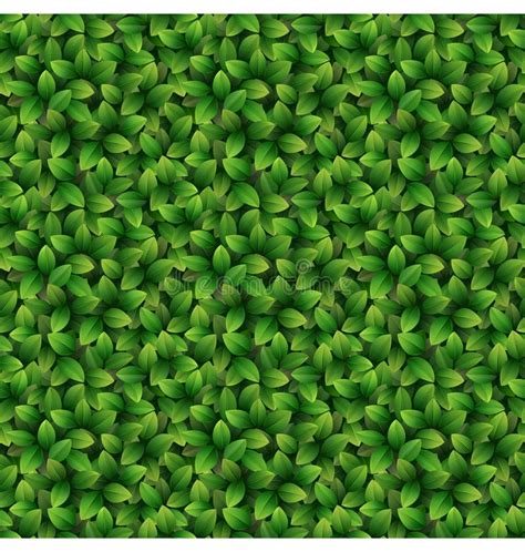 Leaves Seamless Texture Background Stock Vector Illustration Of Bush
